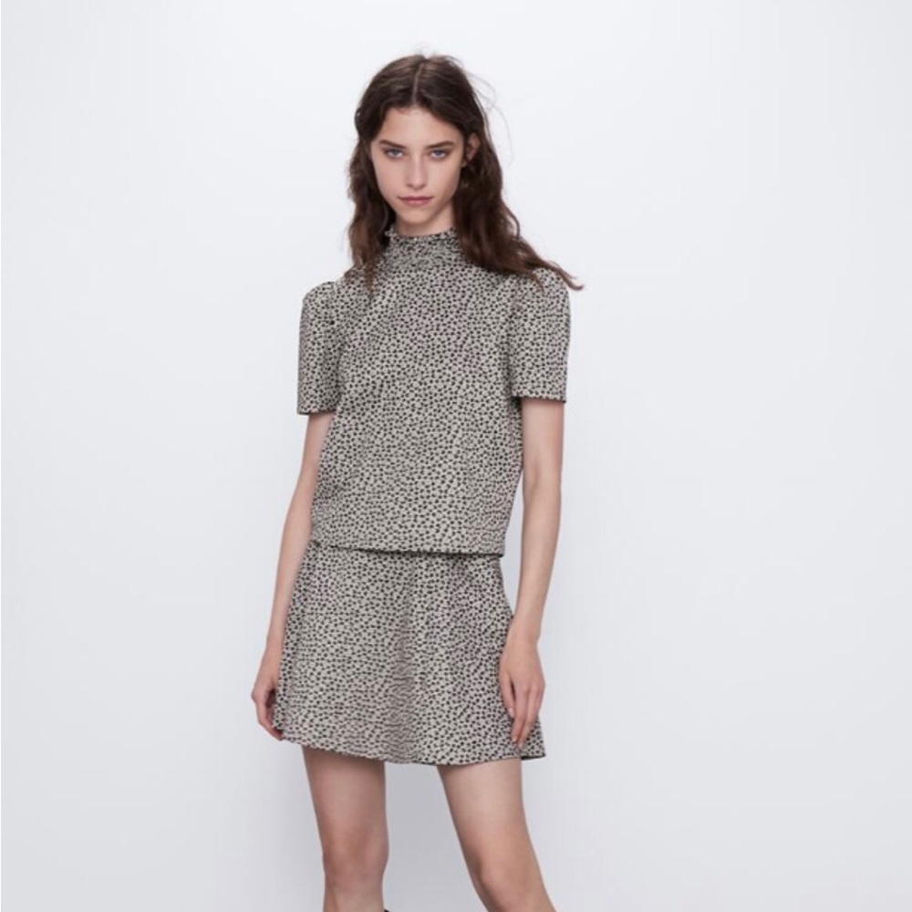 Zara Animal print skirt TRF leopard